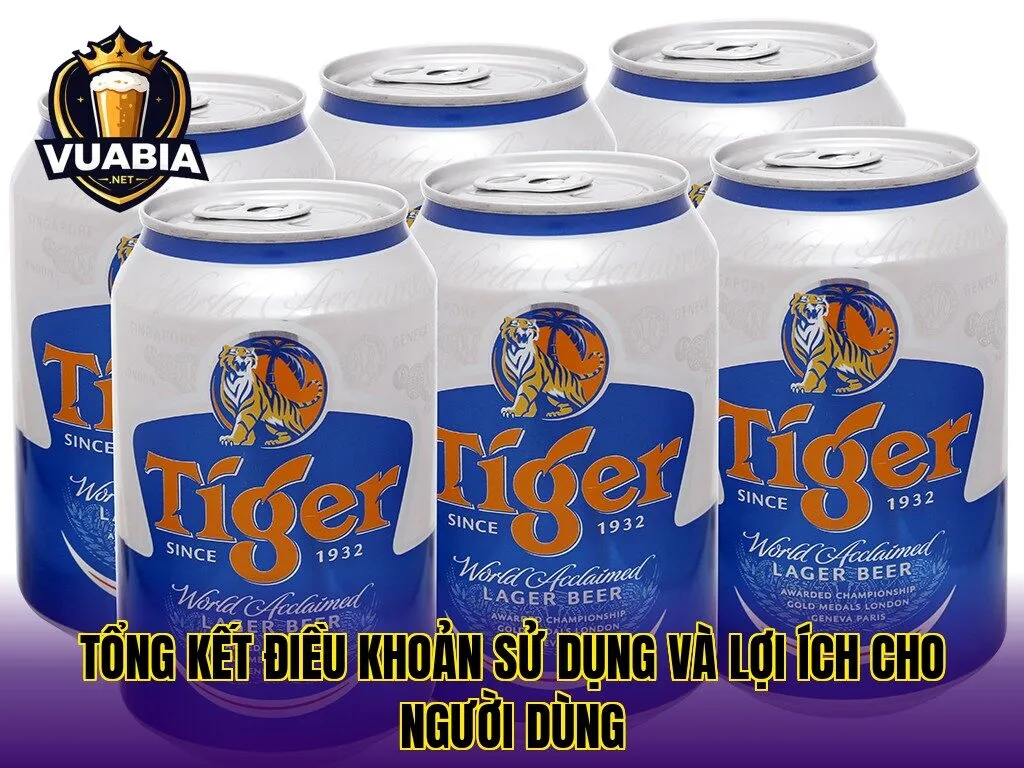 Tổng kết điều khoản sử dụng và lợi ích cho người dùng