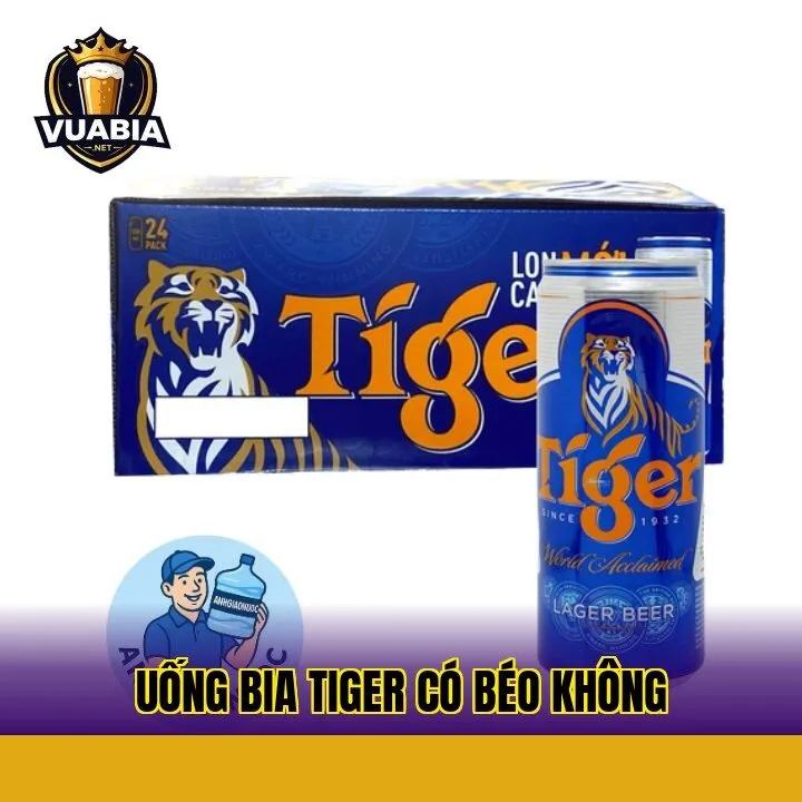 Uống bia Tiger có béo không