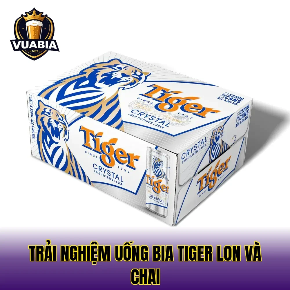 Trải nghiệm uống bia Tiger lon và chai