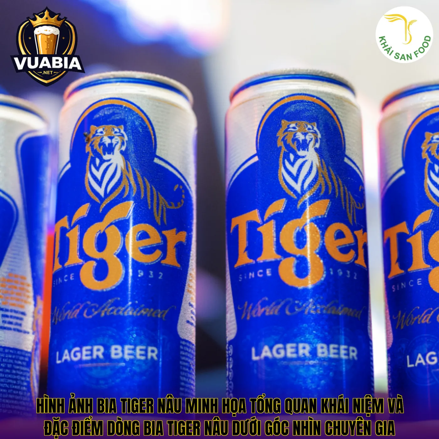 Hình ảnh bia Tiger nâu minh họa tổng quan khái niệm và đặc điểm dòng bia Tiger nâu dưới góc nhìn chuyên gia