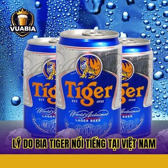 Lý do bia Tiger nổi tiếng tại Việt Nam