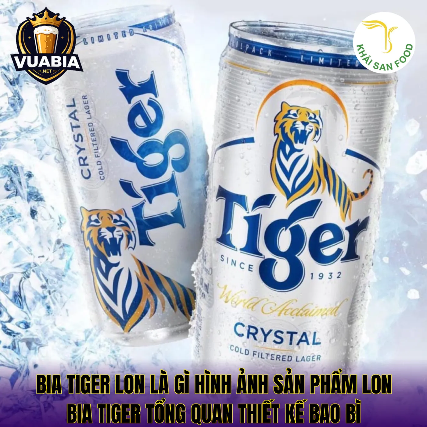 Bia Tiger lon là gì hình ảnh sản phẩm lon bia Tiger tổng quan thiết kế bao bì