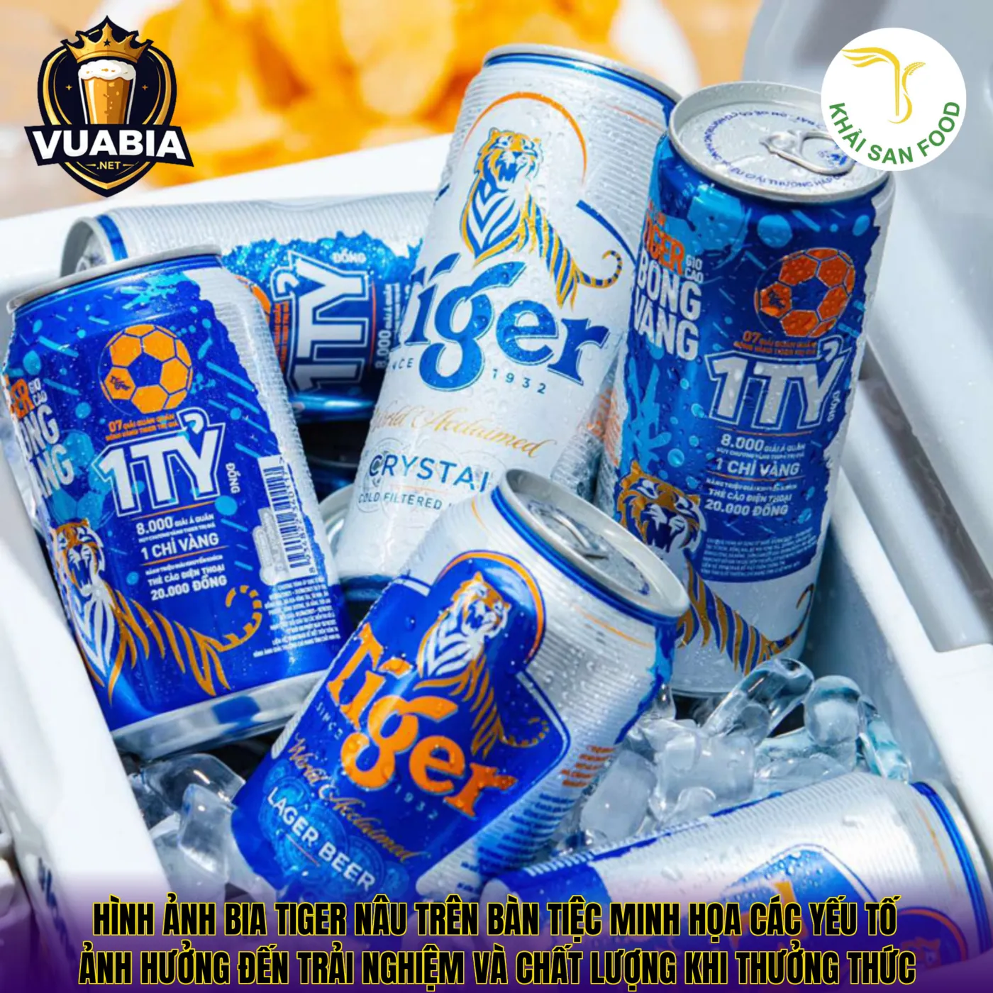 Hình ảnh bia Tiger nâu trên bàn tiệc minh họa các yếu tố ảnh hưởng đến trải nghiệm và chất lượng khi thưởng thức