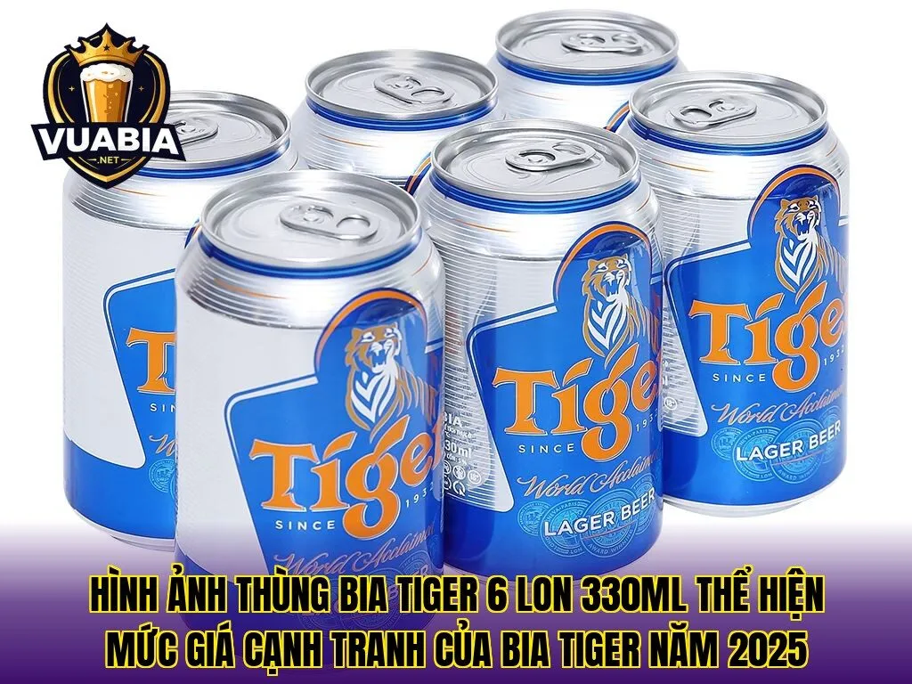 Hình ảnh thùng bia Tiger 6 lon 330ml thể hiện mức giá cạnh tranh của bia Tiger năm 2025