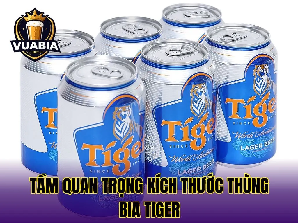 Tầm quan trọng kích thước thùng bia Tiger