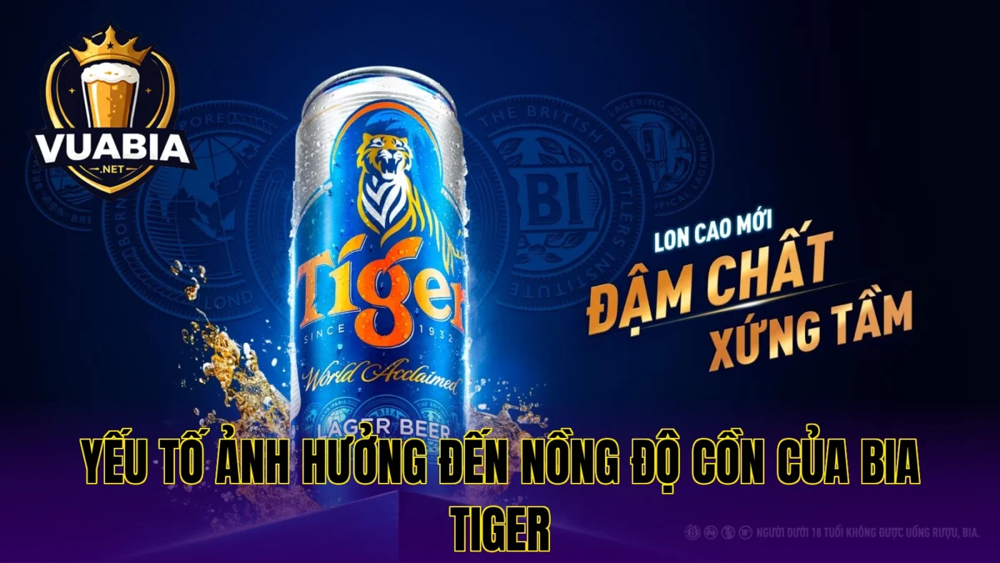 Yếu tố ảnh hưởng đến nồng độ cồn của bia Tiger