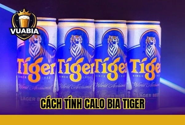 Cách tính calo bia Tiger