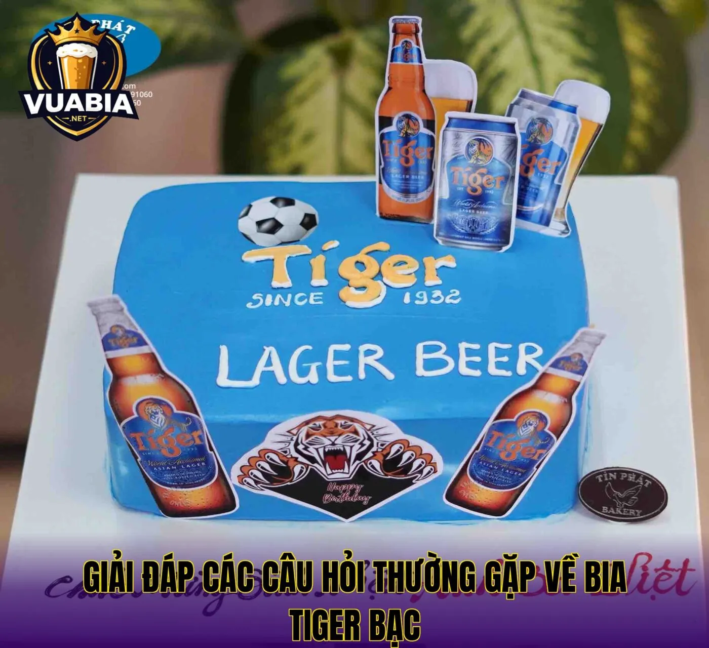 Giải đáp các câu hỏi thường gặp về bia Tiger bạc