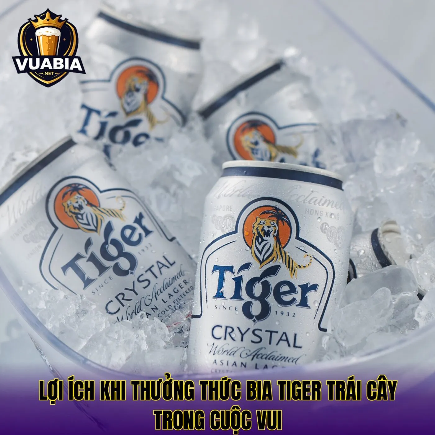 Lợi ích khi thưởng thức bia Tiger trái cây trong cuộc vui