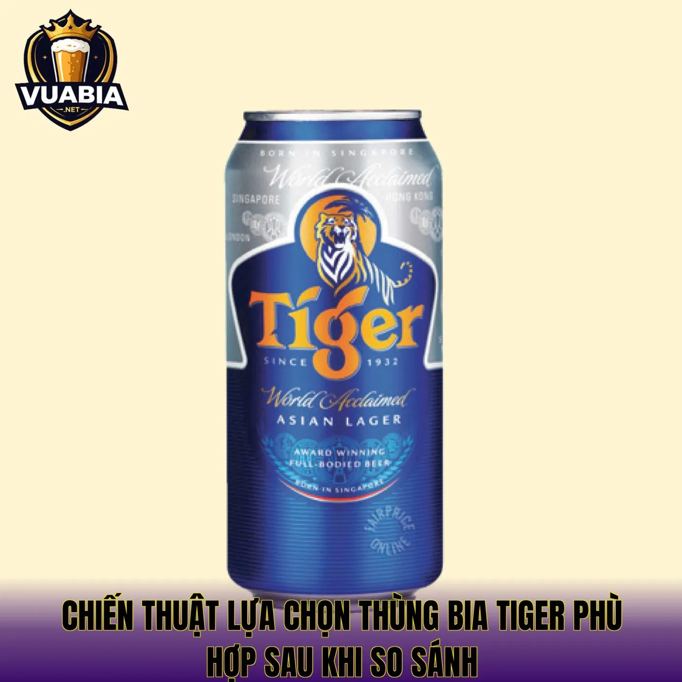 Chiến thuật lựa chọn thùng bia Tiger phù hợp sau khi so sánh