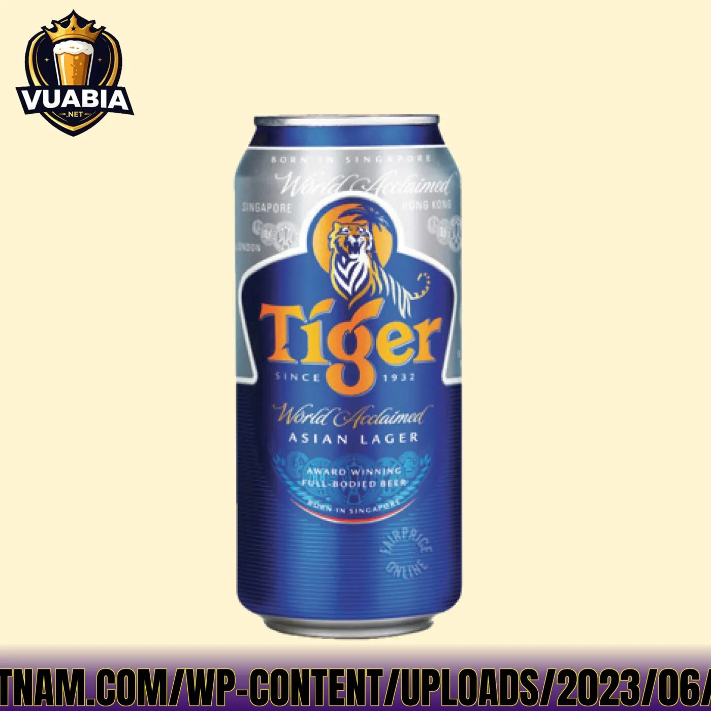 Hình](https://bbqvietnam.com/wp-content/uploads/2023/06/Bia-tiger-scaled.jpg