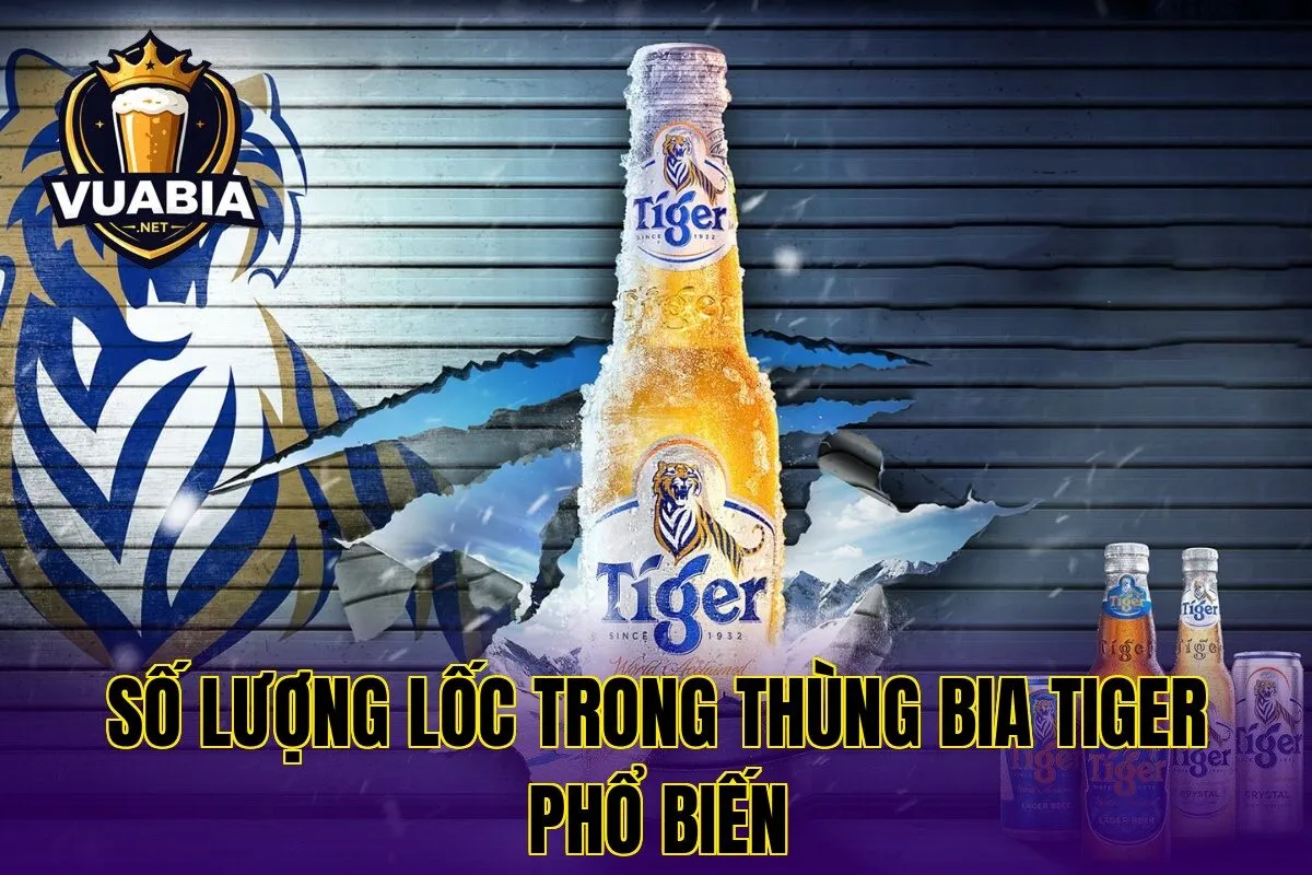 Số lượng lốc trong thùng bia Tiger phổ biến
