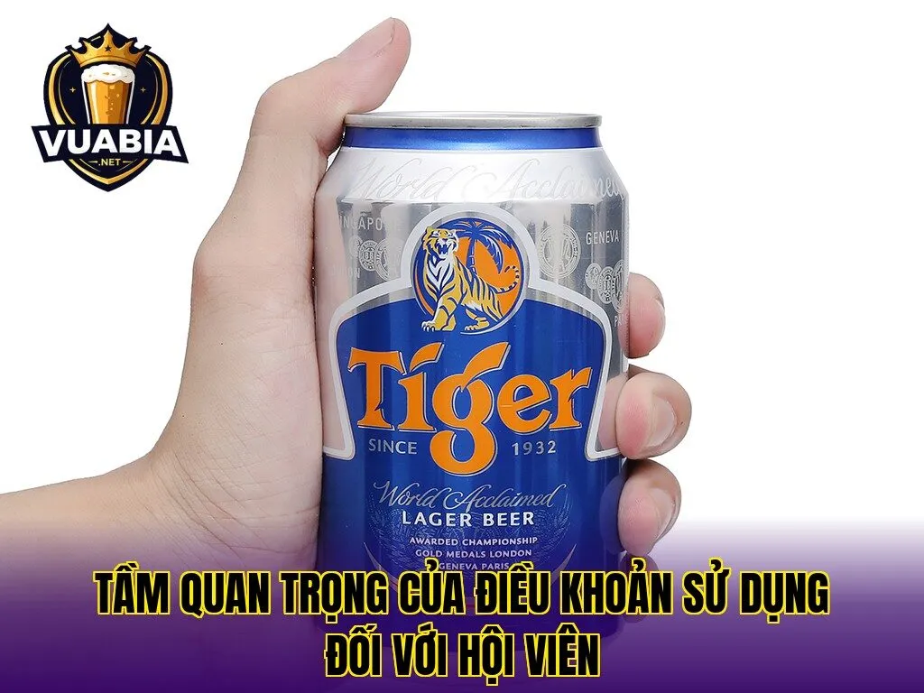 Tầm quan trọng của điều khoản sử dụng đối với hội viên