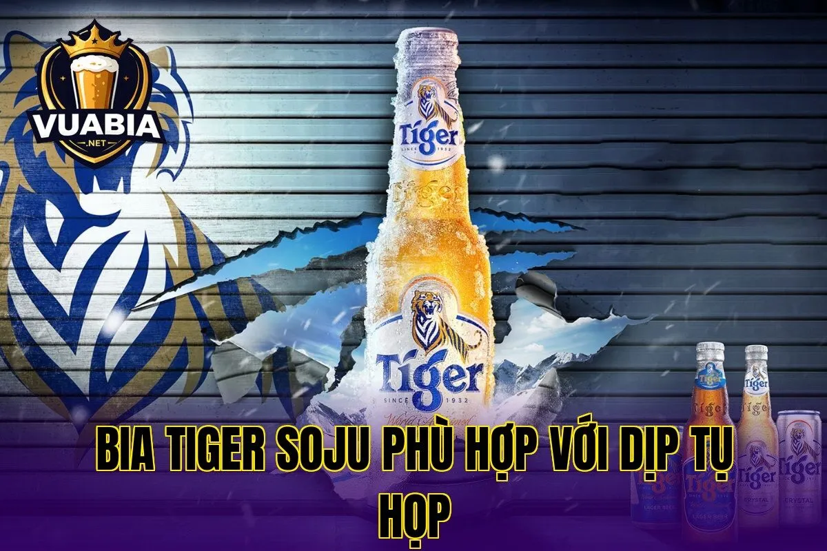 Bia Tiger Soju phù hợp với dịp tụ họp