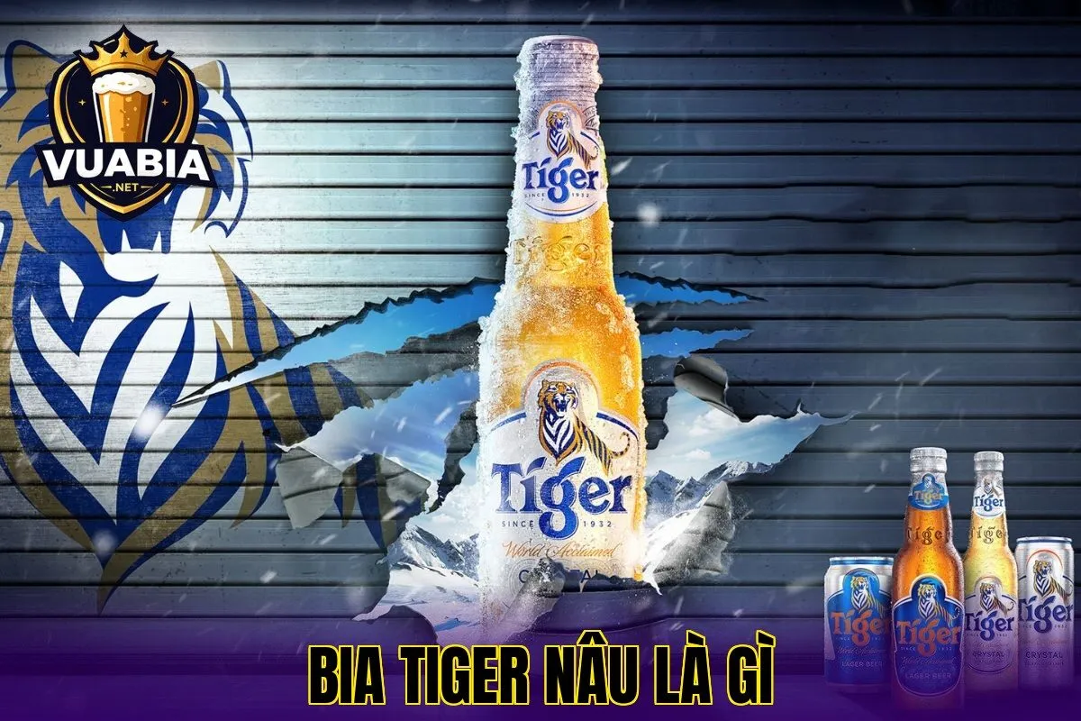 Bia Tiger Nâu Là Gì