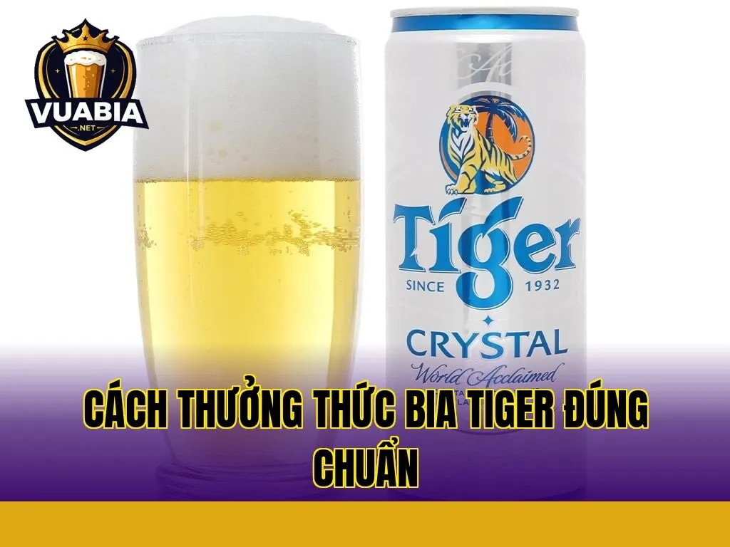 Cách thưởng thức bia Tiger đúng chuẩn