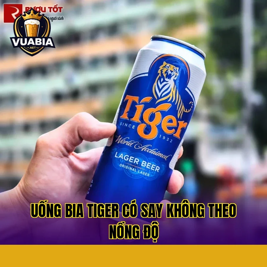 Uống bia Tiger có say không theo nồng độ