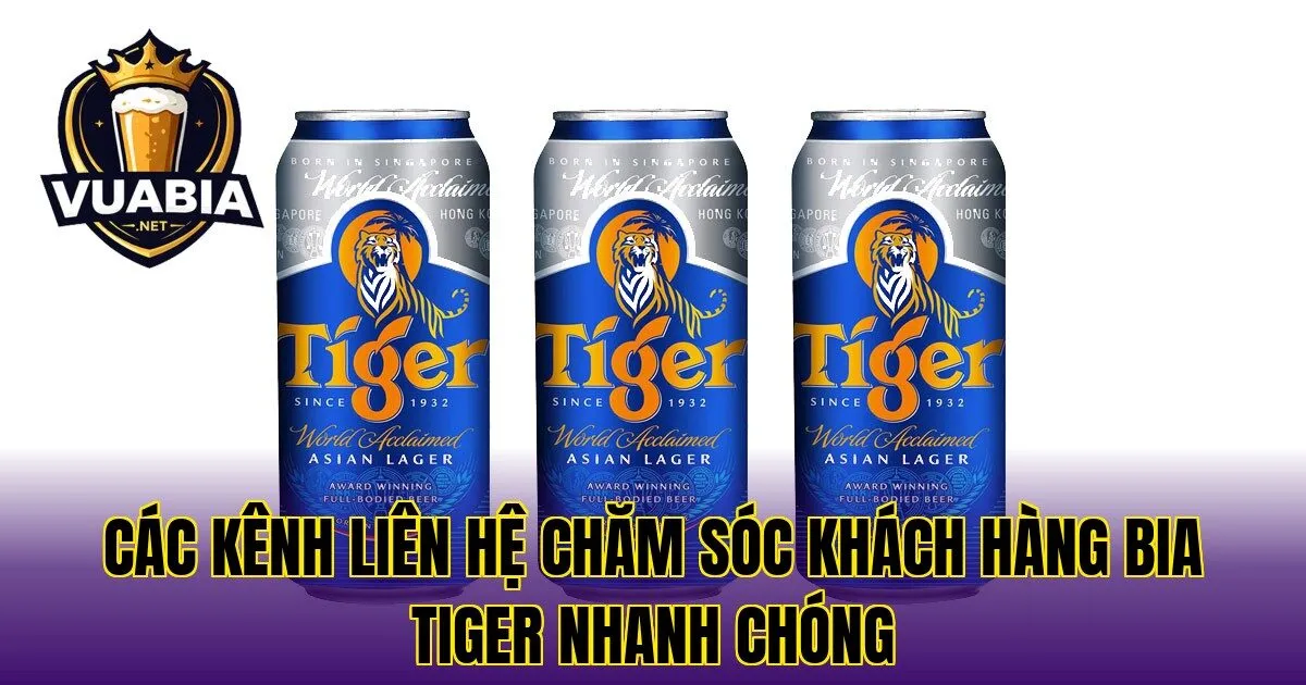 Các kênh liên hệ chăm sóc khách hàng Bia Tiger nhanh chóng