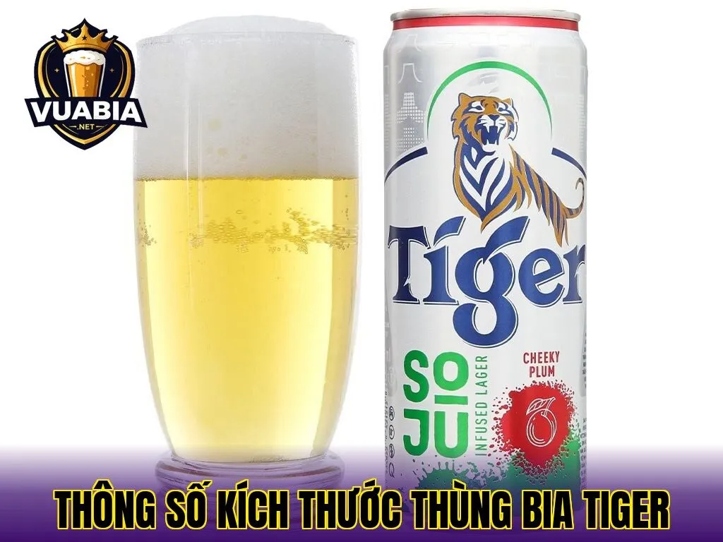 Thông số kích thước thùng bia Tiger