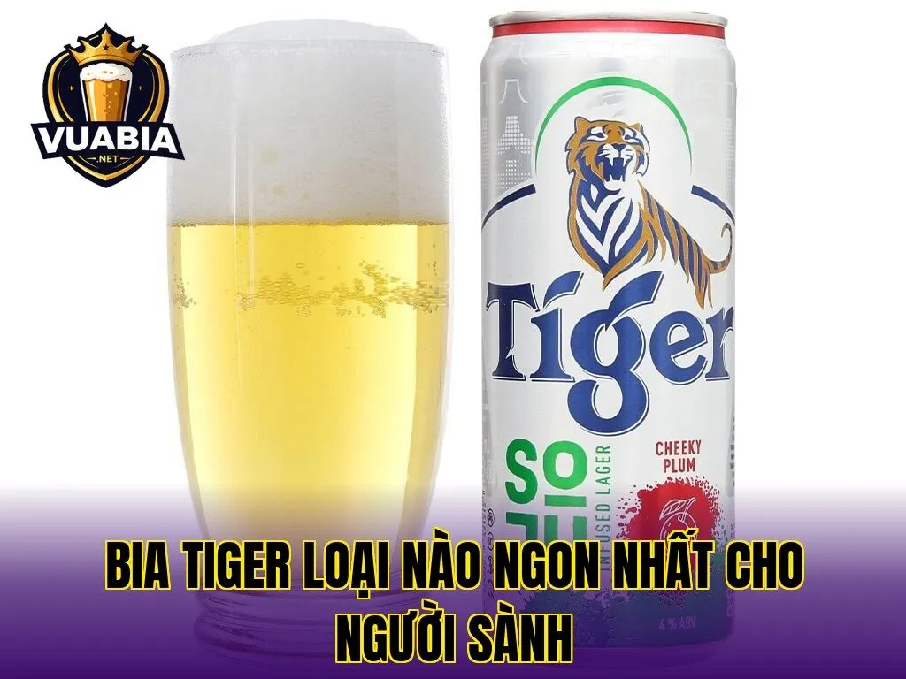 Bia Tiger loại nào ngon nhất cho người sành