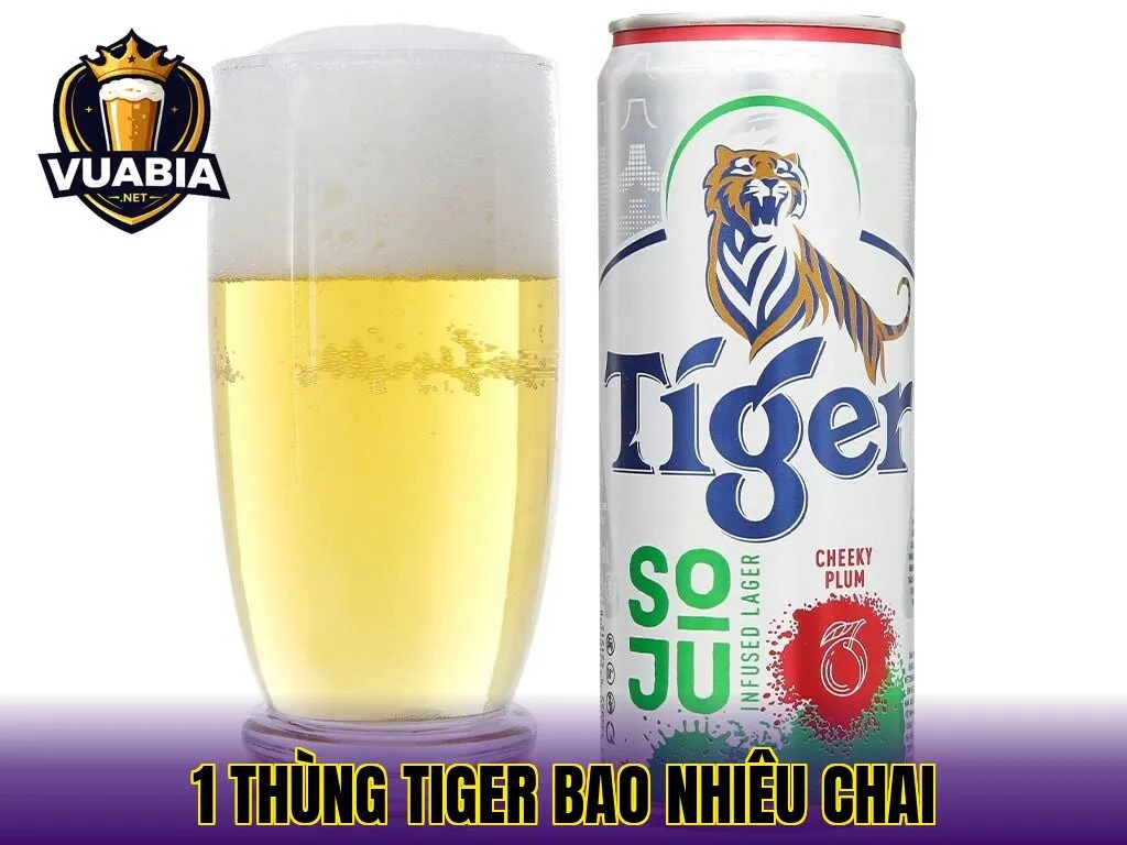 1 Thùng Tiger Bao Nhiêu Chai