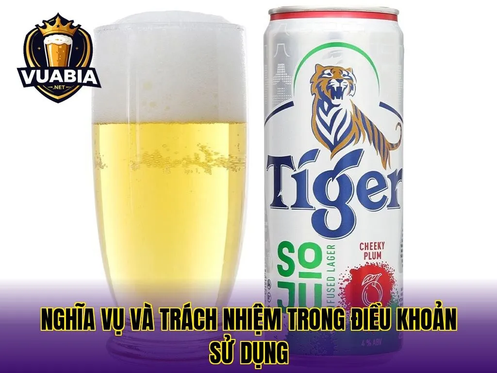 Nghĩa vụ và trách nhiệm trong điều khoản sử dụng
