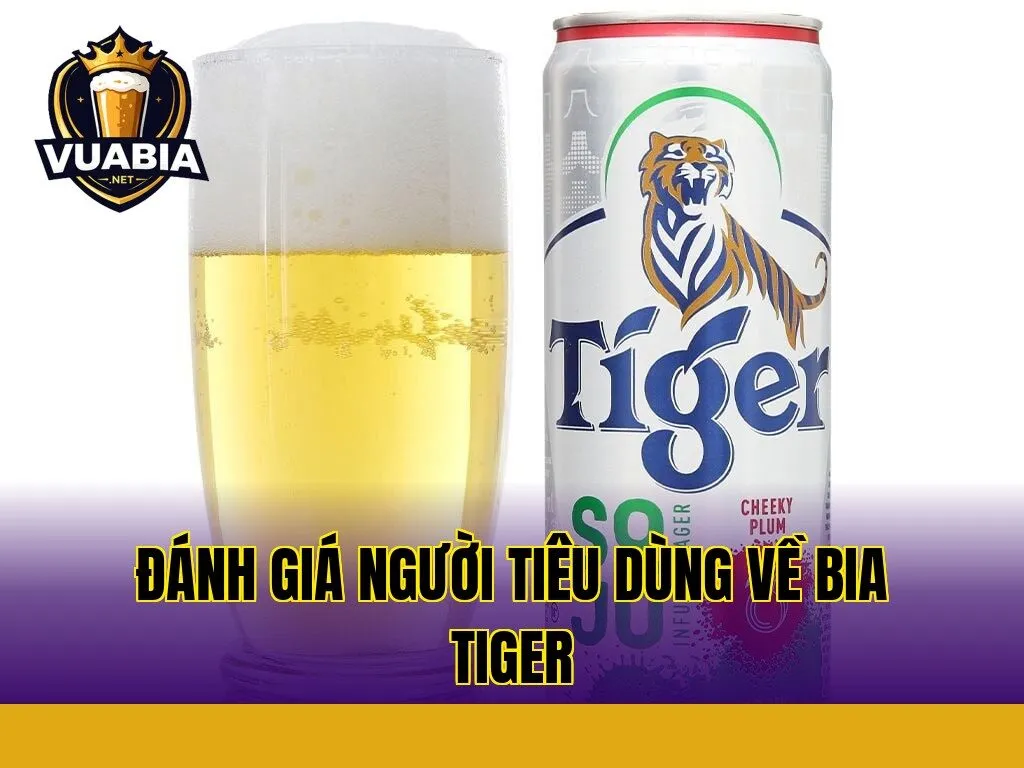 Đánh giá người tiêu dùng về bia Tiger