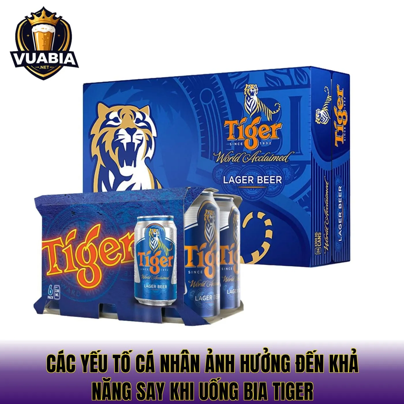 Các yếu tố cá nhân ảnh hưởng đến khả năng say khi uống bia Tiger
