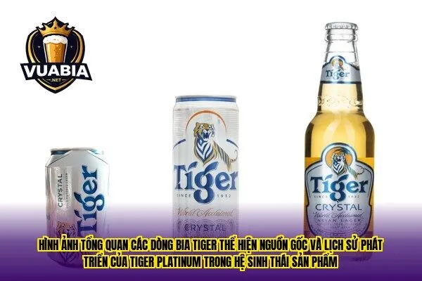 Hình ảnh tổng quan các dòng bia Tiger thể hiện nguồn gốc và lịch sử phát triển của Tiger Platinum trong hệ sinh thái sản phẩm
