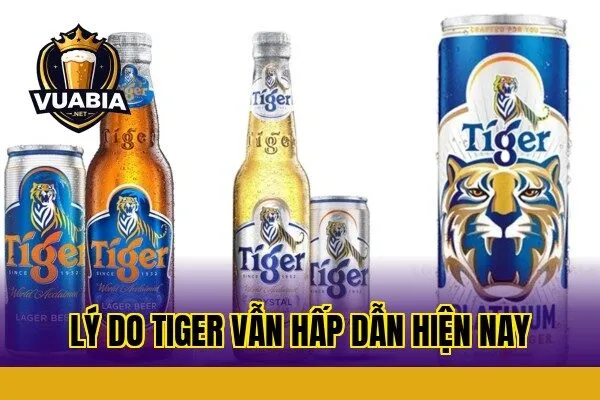 Lý do Tiger vẫn hấp dẫn hiện nay