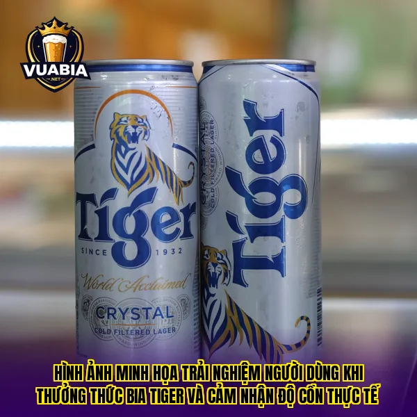 Hình ảnh minh họa trải nghiệm người dùng khi thưởng thức bia Tiger và cảm nhận độ cồn thực tế