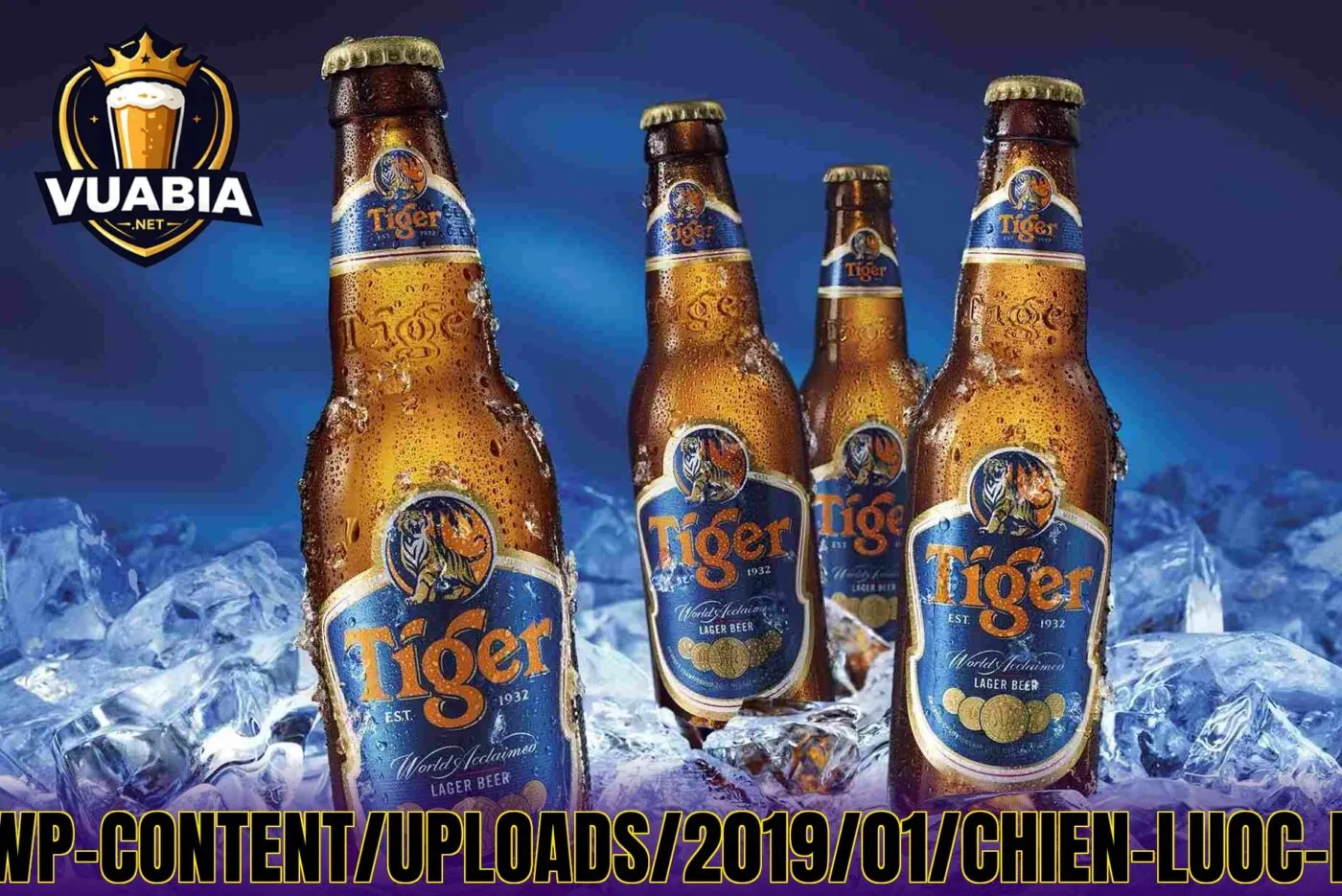 Hình](https://marketingai.mediacdn.vn/wp-content/uploads/2019/01/chien-luoc-marketing-cua-bia-tiger-compressed.jpg