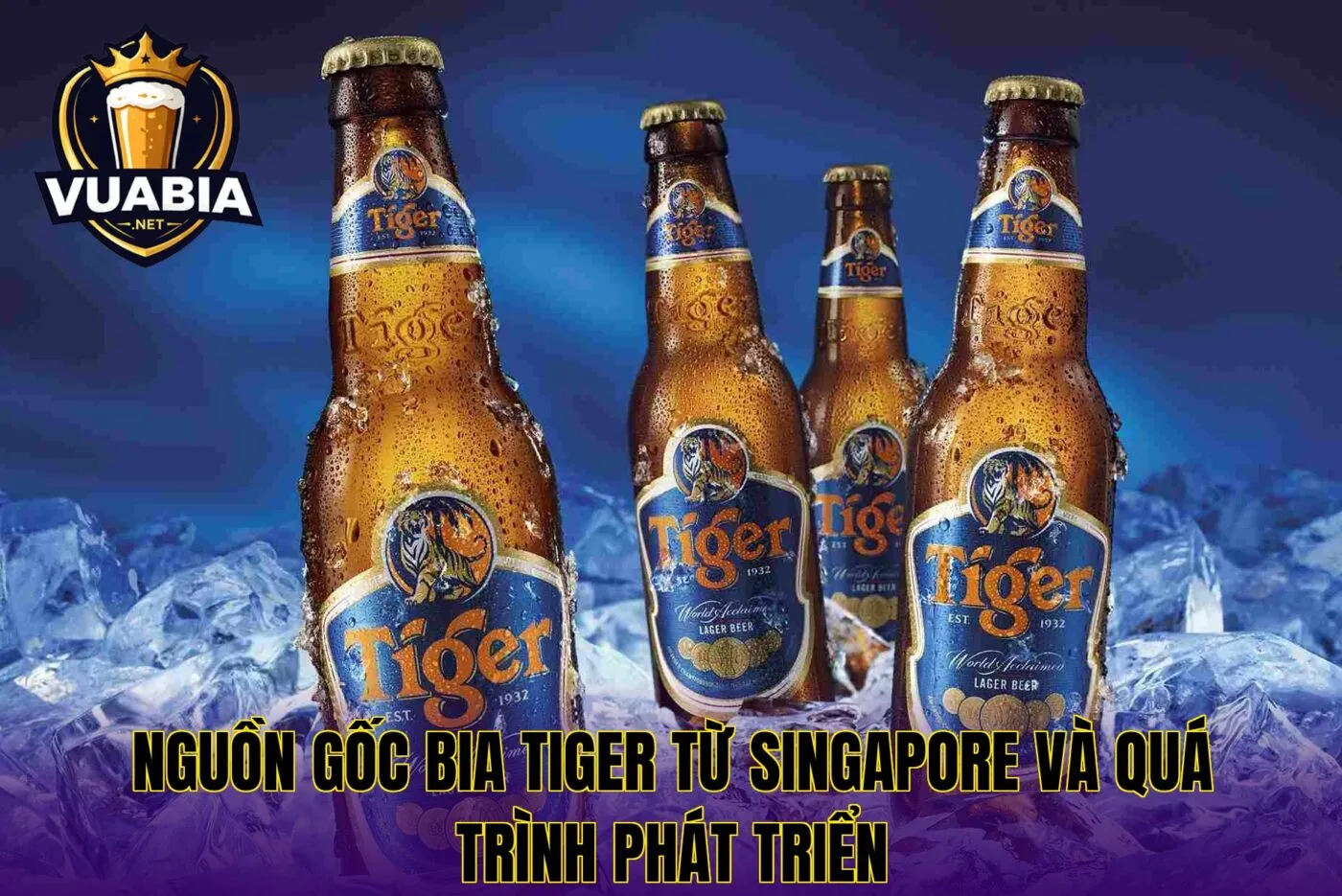 Nguồn gốc bia Tiger từ Singapore và quá trình phát triển