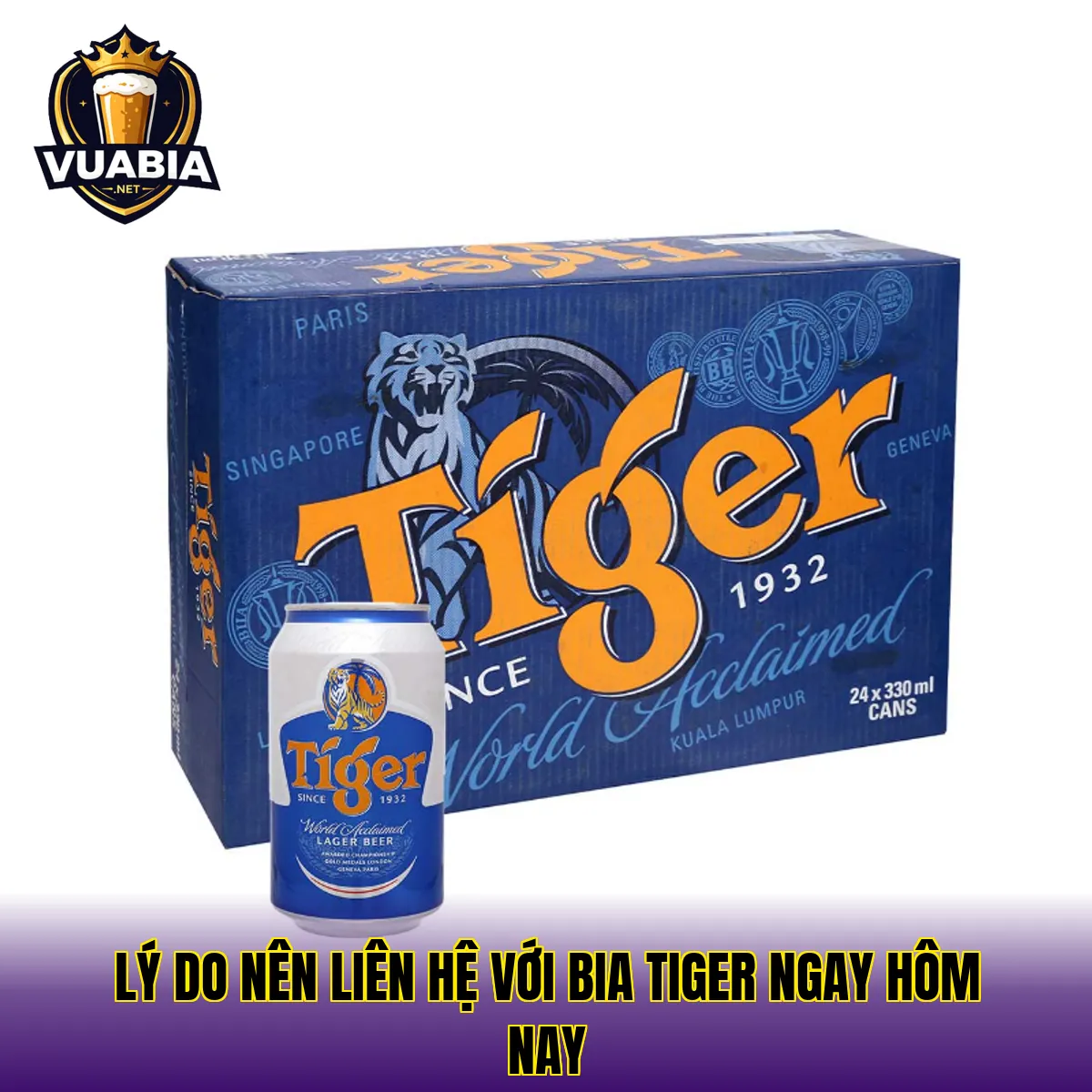 Lý do nên liên hệ với Bia Tiger ngay hôm nay