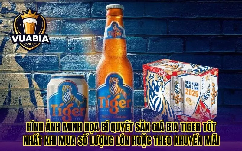Hình ảnh minh họa bí quyết săn giá bia Tiger tốt nhất khi mua số lượng lớn hoặc theo khuyến mãi