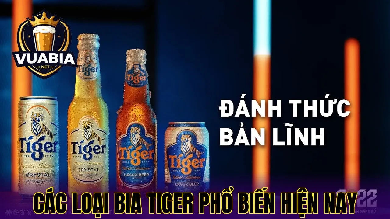 Các loại bia Tiger phổ biến hiện nay