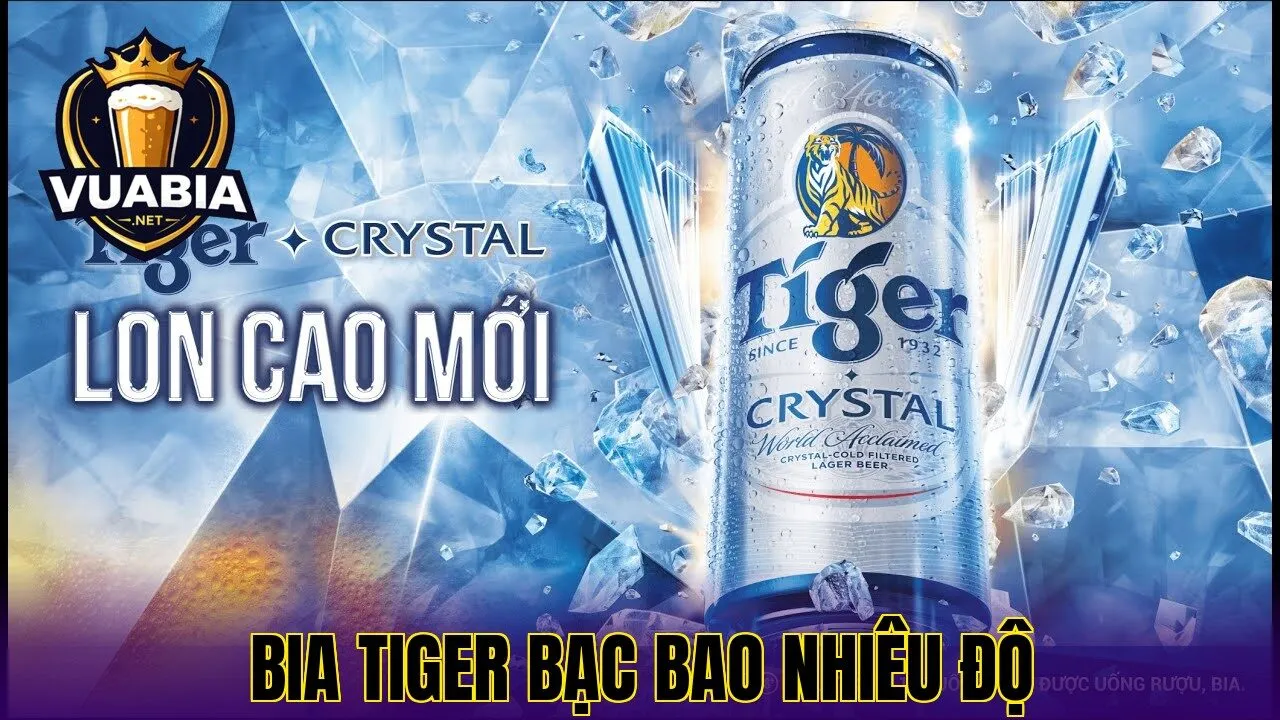 Bia Tiger Bạc Bao Nhiêu Độ