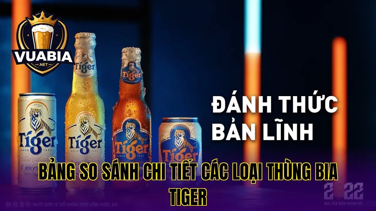 Bảng so sánh chi tiết các loại thùng bia Tiger
