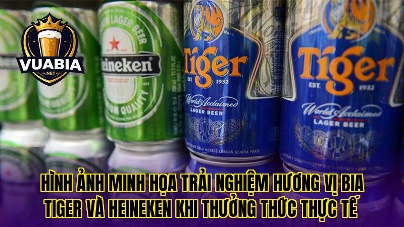Hình ảnh minh họa trải nghiệm hương vị bia Tiger và Heineken khi thưởng thức thực tế