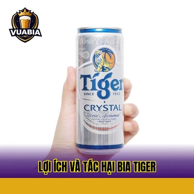 Lợi ích và tác hại bia Tiger