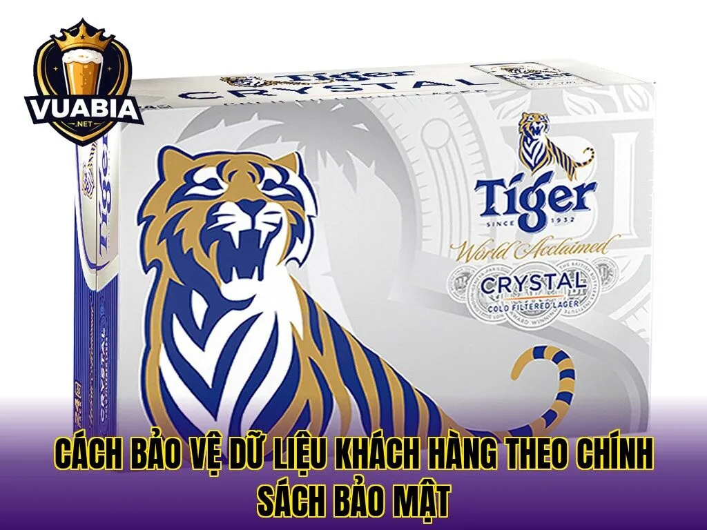 Cách bảo vệ dữ liệu khách hàng theo chính sách bảo mật