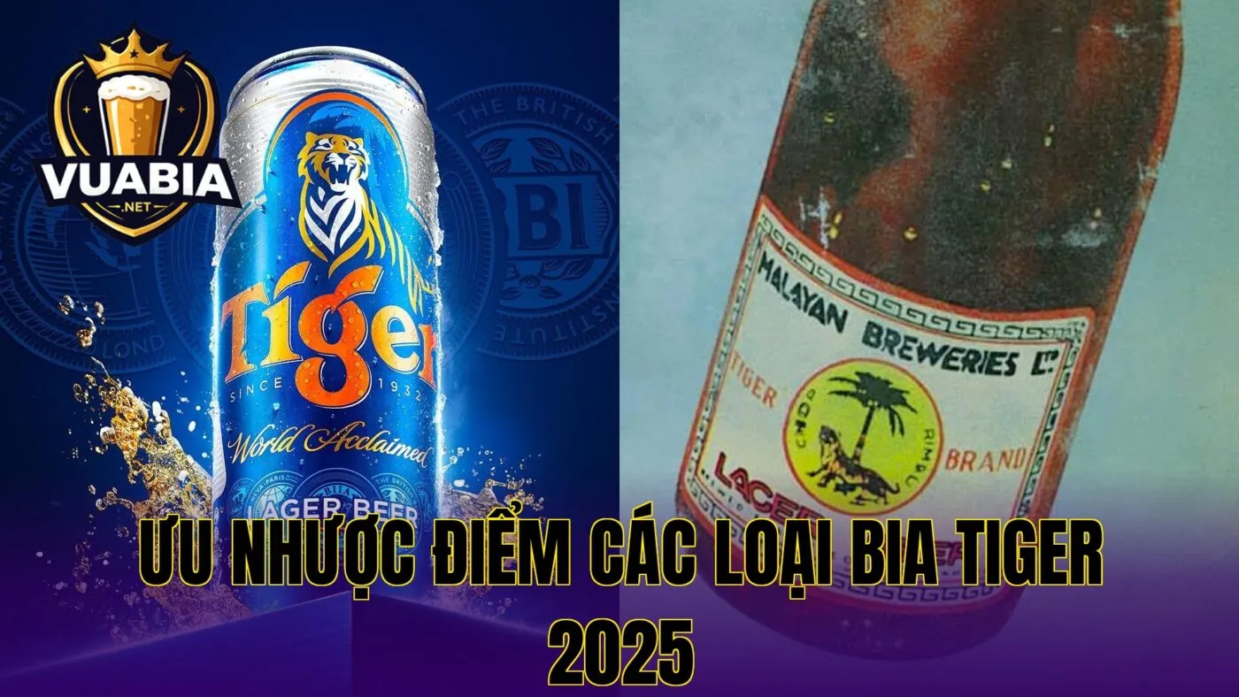 ưu nhược điểm các loại bia Tiger 2025