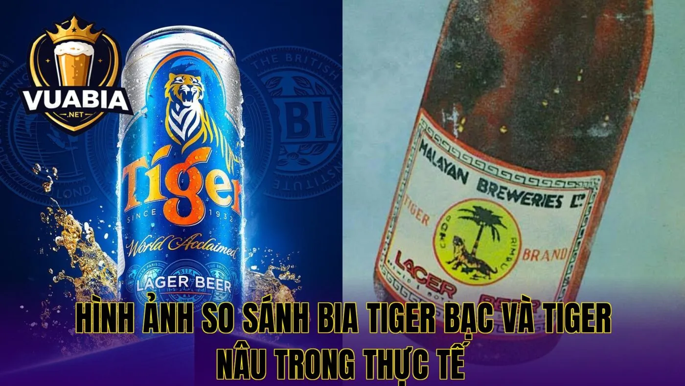 Hình ảnh so sánh bia Tiger bạc và Tiger nâu trong thực tế