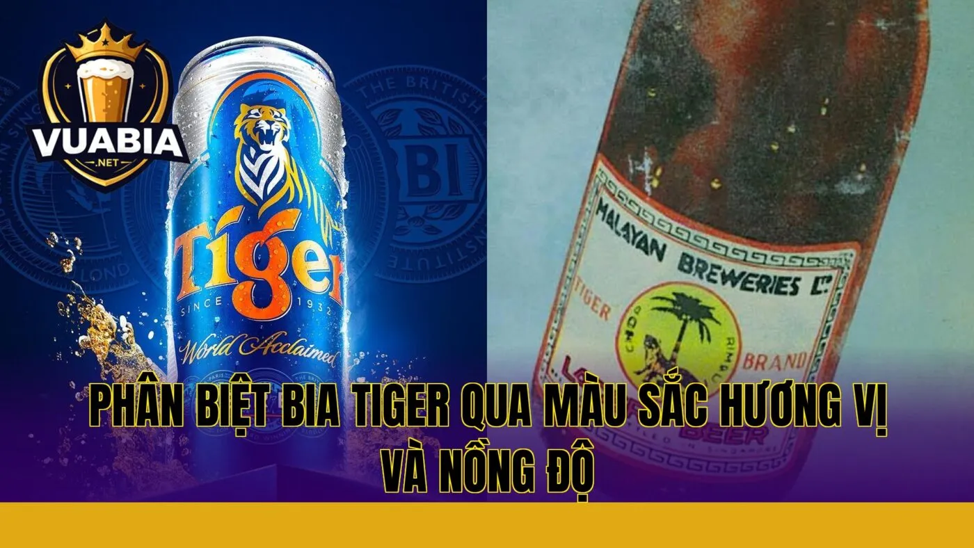 Phân biệt bia Tiger qua màu sắc hương vị và nồng độ