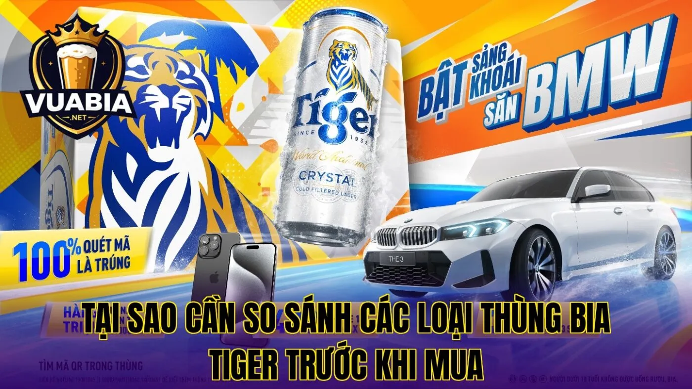 Tại sao cần so sánh các loại thùng bia Tiger trước khi mua