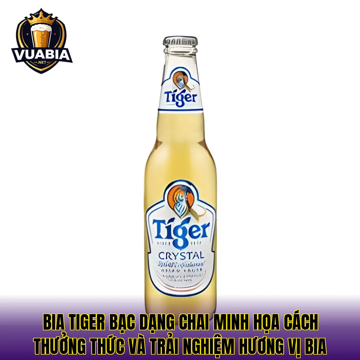 Bia Tiger Bạc dạng chai minh họa cách thưởng thức và trải nghiệm hương vị bia