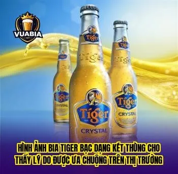 Hình ảnh bia Tiger Bạc dạng két thùng cho thấy lý do được ưa chuộng trên thị trường