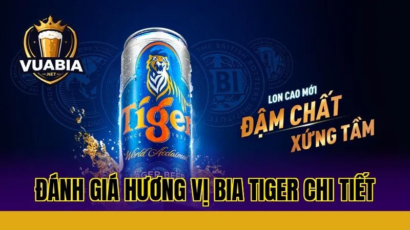 Đánh giá hương vị bia Tiger chi tiết