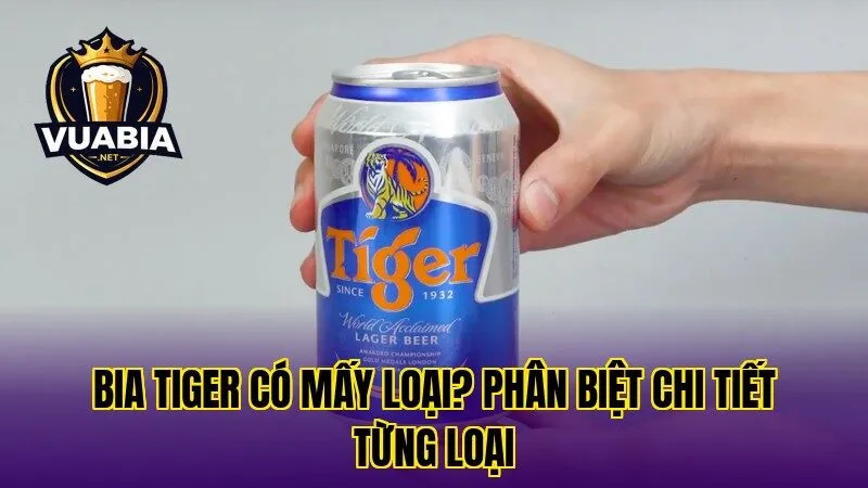 Bia Tiger Có Mấy Loại? Phân Biệt Chi Tiết Từng Loại