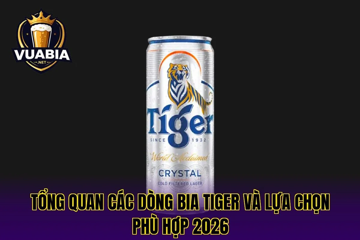 Tổng quan các dòng bia Tiger và lựa chọn phù hợp 2026